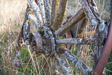 COLLADO DEL MIRON AVILA