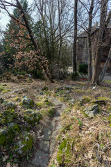 Fototapeta premium Botanical Garden (Fuveszkert) in Budapest