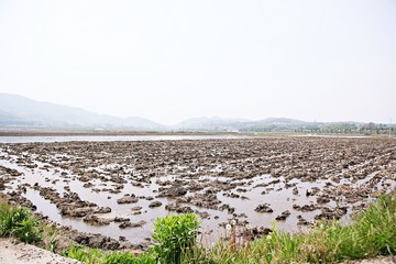 농촌의모습입니다