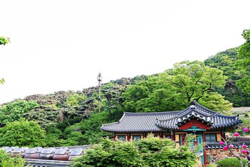 전등사에가면볼수있는것