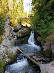 waterfall in the forest