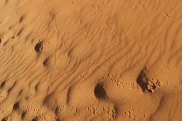 sand texture - background of desert sand dunes. Beautiful structures of sandy dunes. sand with wave from wind in desert - Close up