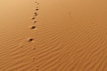 sand texture - background of desert sand dunes. Beautiful structures of sandy dunes. sand with wave from wind in desert - Close up