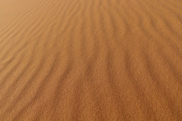 sand texture - background of desert sand dune ripples