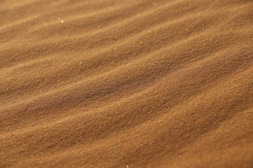 Fototapeta na wymiar sand texture - background of desert sand dunes. Beautiful structures of sandy dunes. sand with wave from wind in desert - Close up
