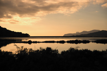 salinas