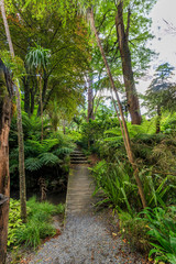 Wellington Botanic Garden, New Zealand