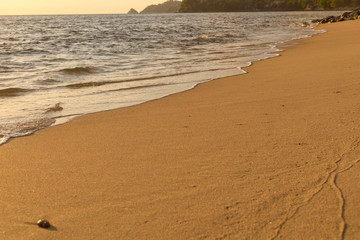 Soft wave from sea come to wet sand beach background. With copy space for text or design