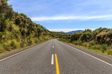 Beautiful day in New Zealand countryside road