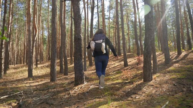 4k slow motion video of female hiker running away from camera between high trees. Woman escaping of danger situation in forest