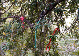 Colorful beads on the trees along the street in New Orleans, Louisiana, U.S.A