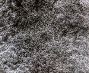 Rabbit fur as a background close-up