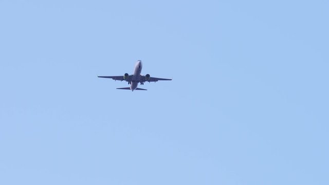 飛行機