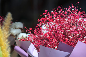 colorful Dried  bunch of gypsophila flower background. Bouquet of dry blue(red, pink) gypsophila...