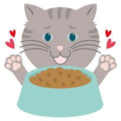 キャットフードに喜ぶ猫