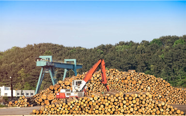 Obraz premium Timber stacked and log loader machine at lumber mill. 