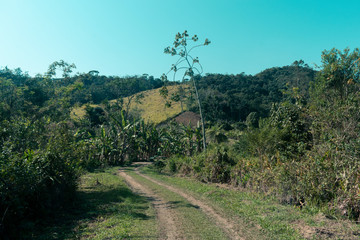 Obraz premium road in the mountains