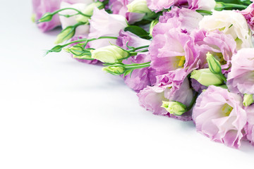 Pink delicate soft background with orchid flowers picture. Floral greeting card, springtime concept. Copy space.