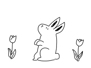 Rabbit and gardening.