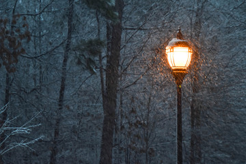 Winter
