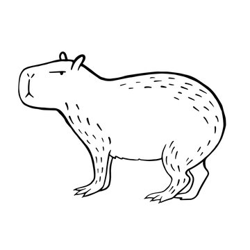 Capybara Animal Isolated Coloring Page for Kids 19979743 Vector