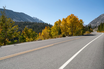 road in autumn