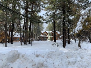 house in winter forest