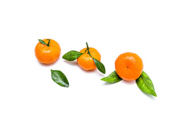 Bright ripe tangerines with green leaves on a white background.