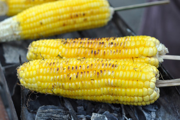 Roasted corn in the food market