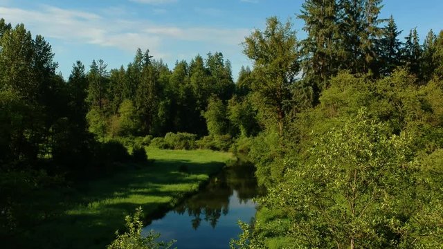 Aerial View of Kanaka Creek Park, Maple Ridge, British Columbia, Canada