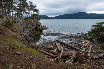 cost line on the edge of the island with dense forest on one side and drift wood covered beach on the other under cloudy sky