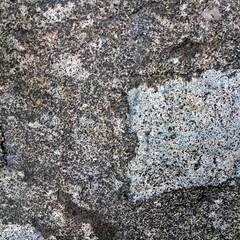 Stone/Rock Texture