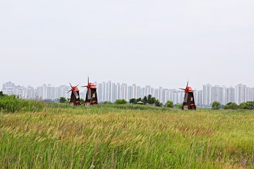 소래습지생태공원입니다