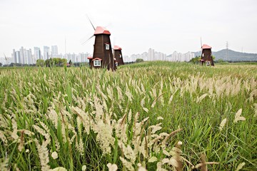 소래습지생태공원입니다