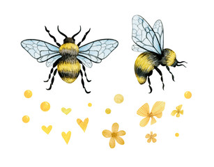 Watercolor bumble bees and yellow flowers isolated on white. Cute design for prints, fabric, cards.