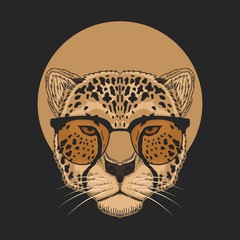 cheetah eyeglasses vector illustration © andypp