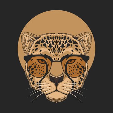 cheetah eyeglasses vector illustration