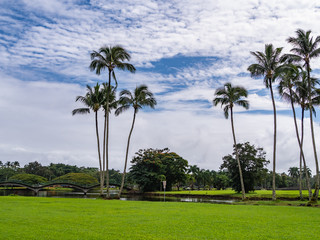 The Wailoa River State Recreation Area is a park in Hilo, on Hawaiʻi Island in the US state of Hawaii.