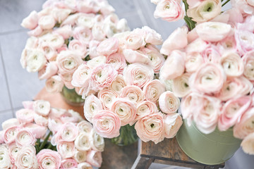 Spring background, flower Wallpaper. Persian buttercup. Bunch pale pink ranunculus flowers on light gray background. Glass vase on vintage wooden table. Wallpaper