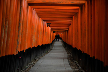 Red Gates of Fushimi Inari in Kyoto, Japan