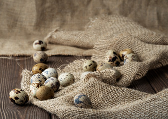 Organic quail eggs on a rough cloth background from burlap. Copy space. Natural diet food
