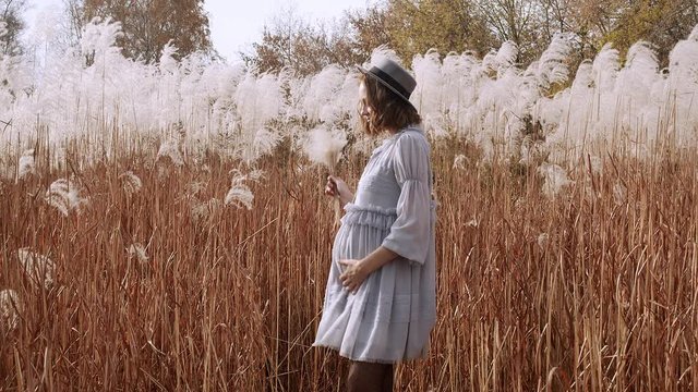 Young Pregnant Woman In The Meadow With High Fluffy Wildgrass