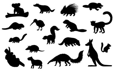 Wild animal black silhouettes of hunting sport and zoo vector design. Kangaroo, koala bear, badger and beaver, platypus, kiwi bird, porcupine and lemur, echidna, capybara and armadillo wild animals