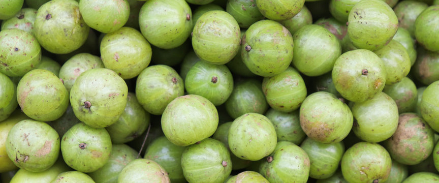 Amla Background. Green Indian Gooseberry Amla Background