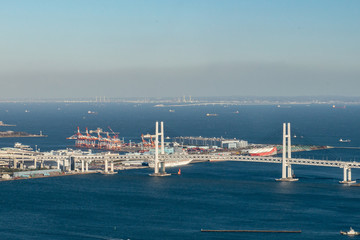 横浜港に停泊するダイヤモンドプリンセス　コロナウィルス