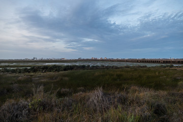 wetlands in the faro laguna in portugal