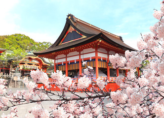 Ancient pavilion and blooming sakura in Fushimi Inari shrine, Kyoto, Japan