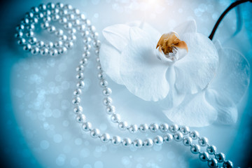 pearl and white orchid on a white glas