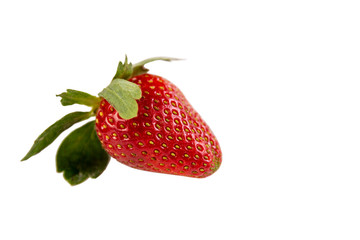 Large juicy appetizing strawberries. Isolated over white background. Close-up. Space for text.