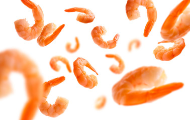 Boiled prawns levitate on a white background